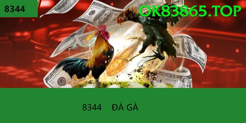 Đá Gà Trực Tiếp - ok83865